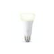 Producto de Bombilla Inteligente LED E27 15.5W 1600 lm A67 PHILIPS Hue White 