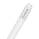 Produto de Tubo LED T8 G13 60 cm Vidro 8 W 100 lm/W LEDVANCE