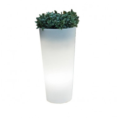 Vaso Ficus 60 Cabo Exterior Frio